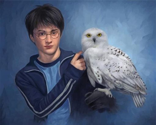Harry Potter And Companion Hedwig Paint By Numbers