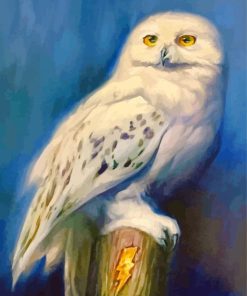 Aesthetic Harry Potter Hedwig Paint By Numbers