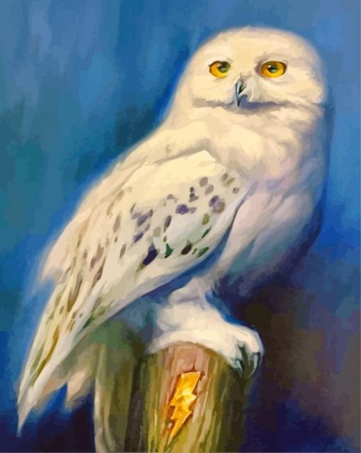 Aesthetic Harry Potter Hedwig Paint By Numbers