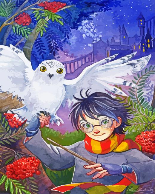 Hedwig And Harry Potter - Paint By Numbers - Painting By Numbers