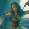 Wonder Woman Fighting paint by numbers