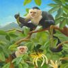 Capuchin Monkey On Tree paint by numbers