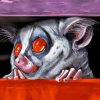 Cute Galago paint by numbers