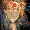 Albus Dumbledo paint by numbers