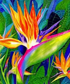 Bird Of Paradise paint by numbers