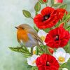Bird On Poppy Flowers paint by numbers
