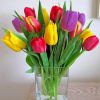 Colorful Tulips painting by numbers