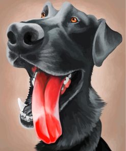 Funny Labrador Dog paint by numbers