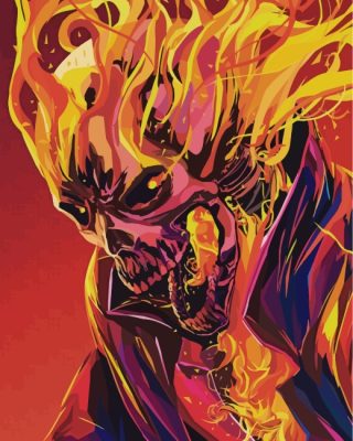 Illustration Ghost Rider Paint By Numbers
