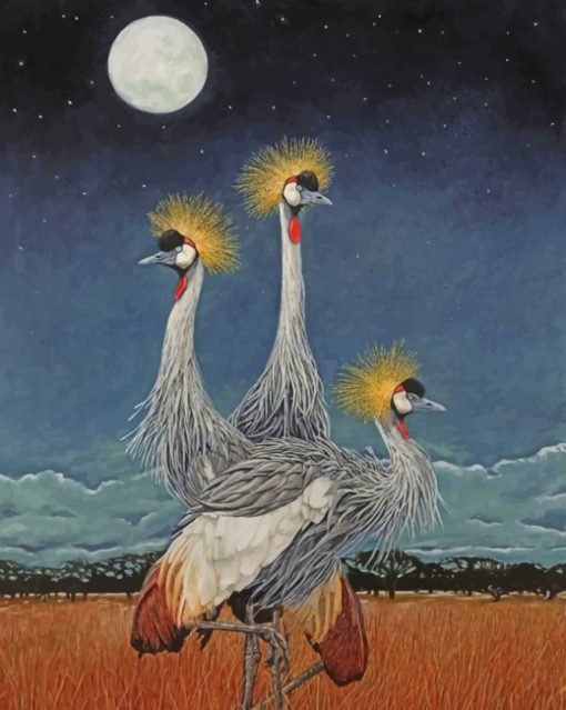 Grey Crowned Cranes paint by numbers