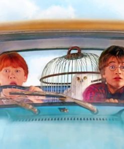 Harry Potter Flying Car paint by numbers