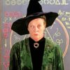 Harry Potter Minerva Mcgonagall paint by numbers