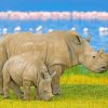 Rhinoceros paint by numbers