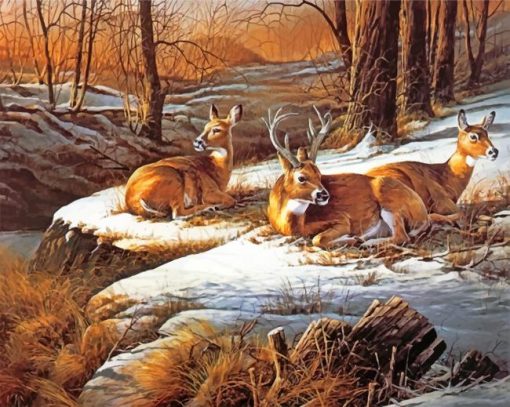 White Tailed Deers Paint By Numbers