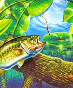 Largemouth Bass Paint By Numbers
