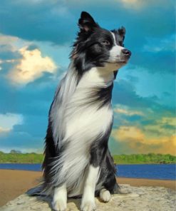 Aesthetic Border Collie paint by numbers