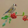 Aesthetic goldfinch Bird paint by numbers