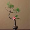 Japanese Ikebana Paint By Numbers