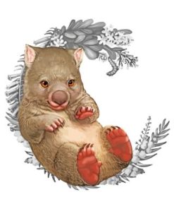 Baby Wombat Illustration Paint By Numbers