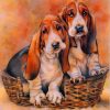 Basset Hound Dogs paint by numbers