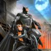 Batman And Catwoman paint by numbers