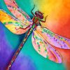 colorful dragonfly paint by numbers