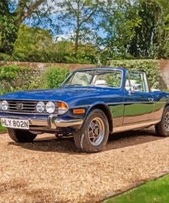 Triumph Stag Paint By Numbers