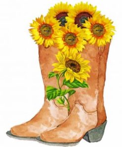 Cowboy Boots With Flowers paint by numbers