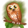 Cute Brown Owl Paint By Numbers
