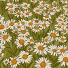 Daisy Field paint by numbers