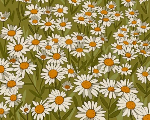 Daisy Field paint by numbers