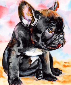 French Bulldog Puppy paint by numbers