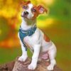 Jack Russell paint by numbers