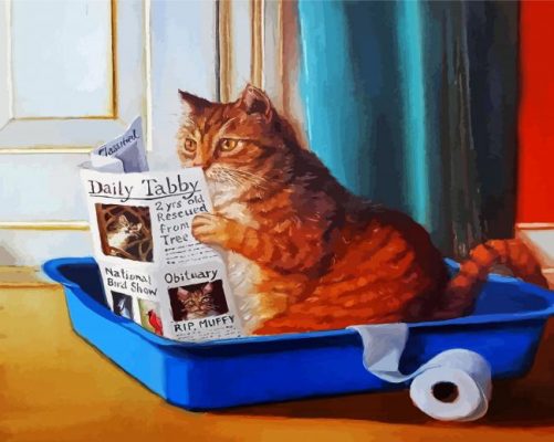 Kitty Reading The Newspaper paint by numbers