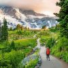 Mt Rainier Hiking Trails paint by numbers