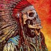 Native American Skull painting by numbers