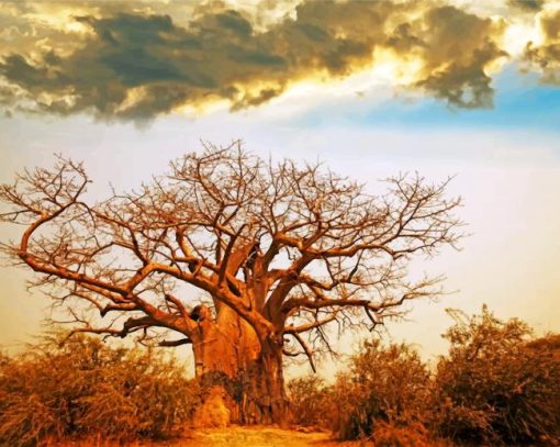 Oldest Baobab Tree painting by numbers