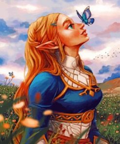 Princess Zelda Breath Of The Wild Paint By Numbers