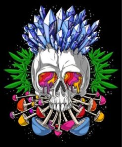Psychedelic Skull paint by numbers
