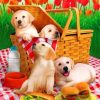 Puppies Picnic paint By Numbers
