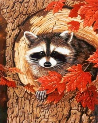Raccoon In The Fall paint by numbers