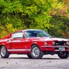 Red Ford GT 500 paint by numbers