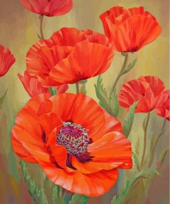 Red Poppies paint by numbers