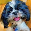 Shih Tzy Dog paint by numbers