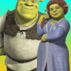 Shrek And Fiona Paint By Numbers