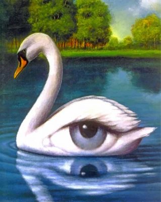 Swan Eye Paint By Numbers