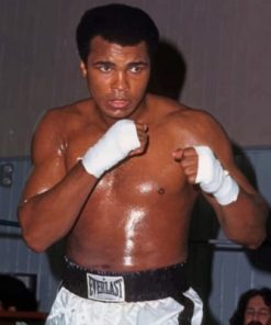Mohammad Ali The Boxer paint by numbers