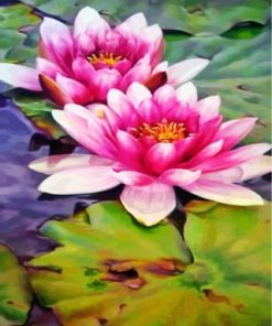 Water Lilies Paint By Numbers