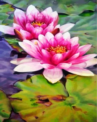 Water Lilies Paint By Numbers