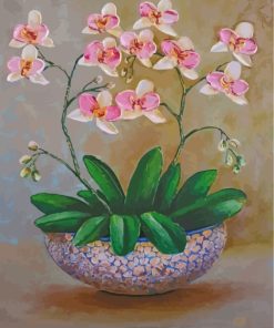 Orchid Flowers Paint By Numbers